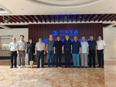 <b>认实核阅了《指南本并进行了质询和充实会商</b>